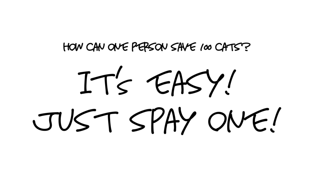 It’s easy just  spay one !